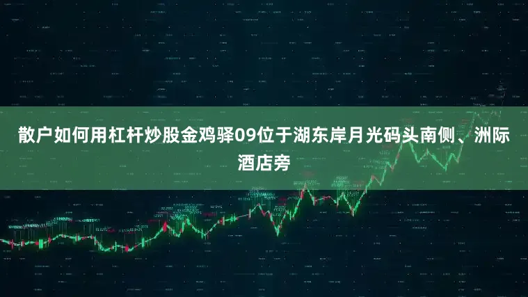 散户如何用杠杆炒股金鸡驿09位于湖东岸月光码头南侧、洲际酒店旁