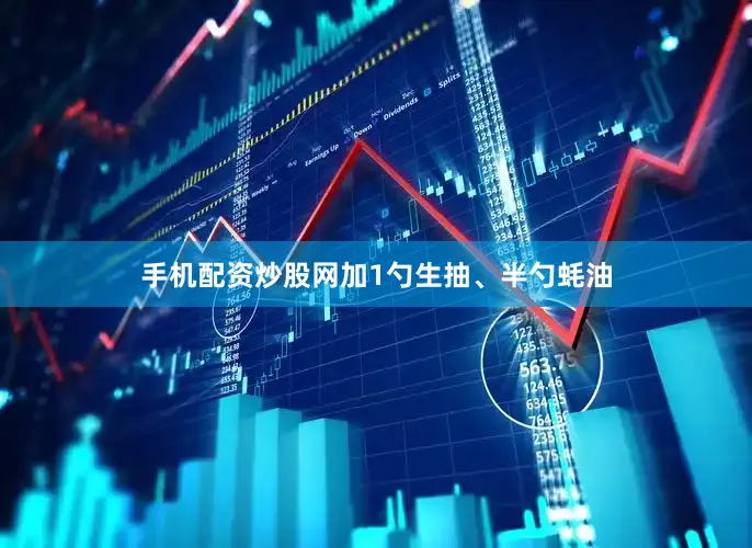 手机配资炒股网加1勺生抽、半勺蚝油