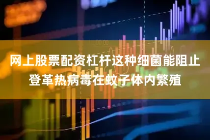 网上股票配资杠杆这种细菌能阻止登革热病毒在蚊子体内繁殖